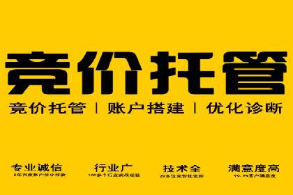 信息流投放策略：某电商平台的成功案例
